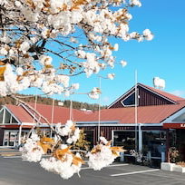 Hotel Awa Hotel cazare Rotorua