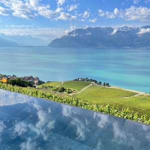 Hotel Baron Tavernier Hotel And Spa cazare Chexbres