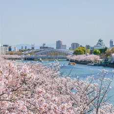 Hotel Four Seasons Hotel Osaka cazare Kobe