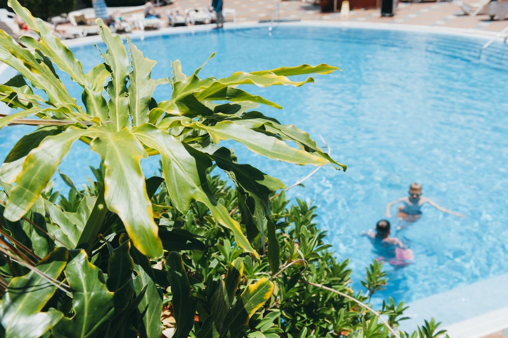 dal travel Palm Beach Tenerife