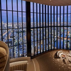 Hotel Conrad Osaka cazare Kobe