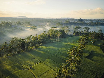 Hotel Ubud Mas Glamping Luxury Tent
