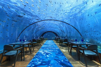 Hotel Hurawalhi Island Resort