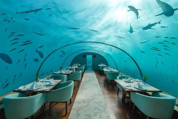 Hotel Saii Lagoon Maldives, Curio Collection By Hilton