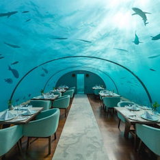 Hotel Saii Lagoon Maldives, Curio Collection By Hilton cazare South Male Atoll
