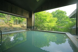 Hotel Shikisai cazare Nikko