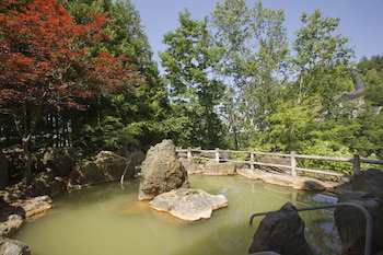 Hotel Yumoto Shirogane Onsen Hotel
