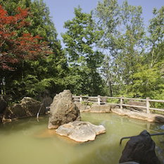 Hotel Yumoto Shirogane Onsen Hotel cazare Biei