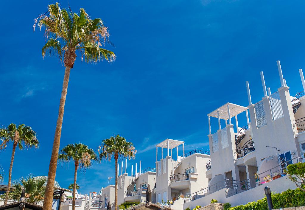 dal travel Los Olivos Beach Resort