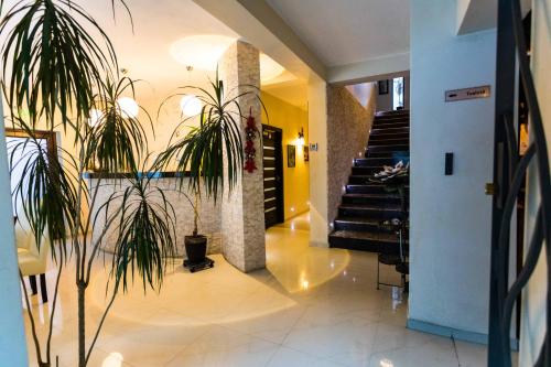 Hotel Pensiunea Bradului