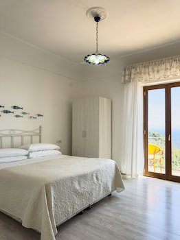 Holidays Fico D'india