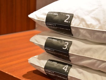 Dormy Inn Himeji