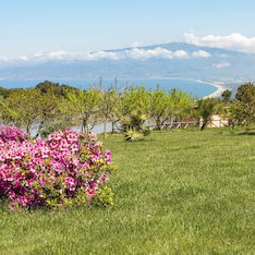 Hotel Popilia Country cazare Maierato