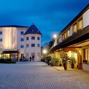 Hotel Seerose cazare Meisterschwanden