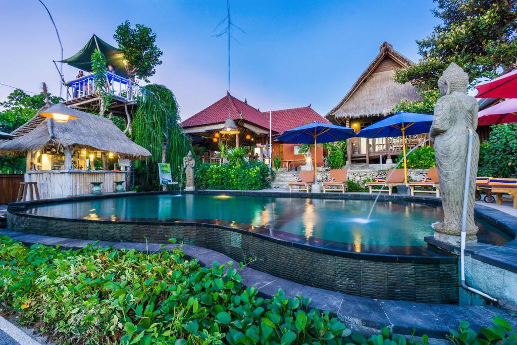 Hotel The Dafish Accommodation Bar And Cafe