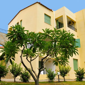 Hotel Sylvia Crete cazare Limin Khersonisou