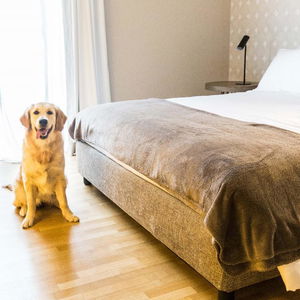 Hotel 200 Rooms & Terrace cazare Bari