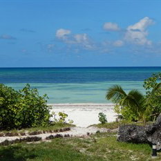 Sejur Cote D`or Footprints Chalets vacanta Anse Volbert Village