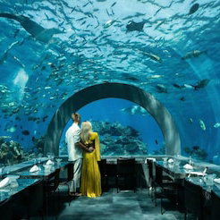 Hotel You And Me Maldives cazare Maamigili