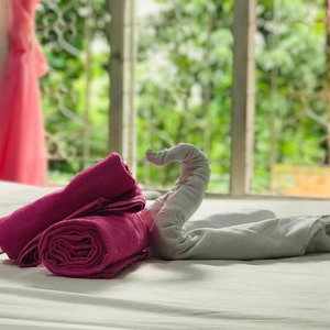 Hotel Sapphire Step Homestay cazare Gampola