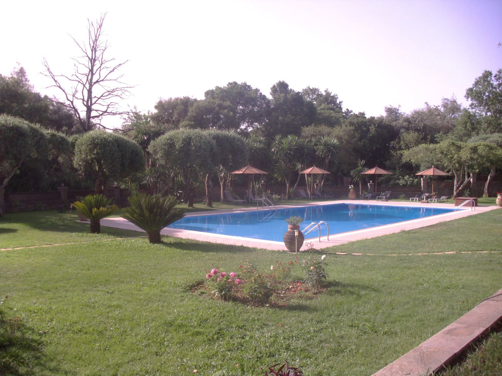 Fiori Hotel