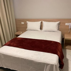 Hotel Hotel Fenix Belenzinho cazare Palmeirais