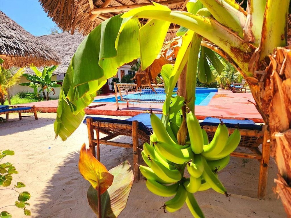 Mkeka Spice Lodge Jambian
