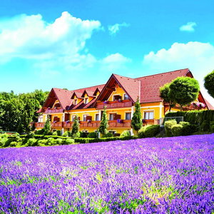 Hotel Maria Theresien Hof Loipersdorf cazare Grieselstein