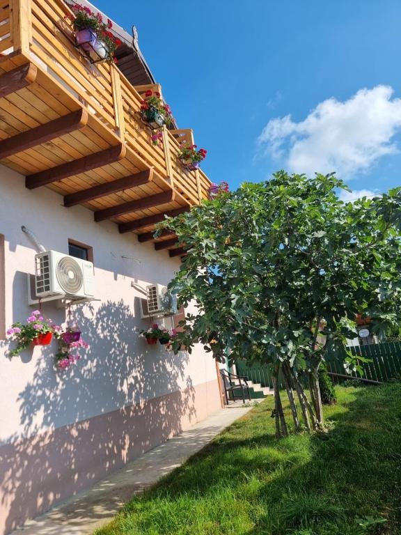 Casa Moreana Sfantu Gheorghe