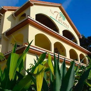 Hotel The Palms Oceanfront Suites cazare San Pedro
