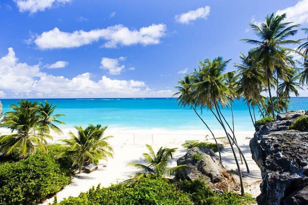 Hotel Tropical Apartment With Private Patio, Walk To Beaches, Shops And Cafes