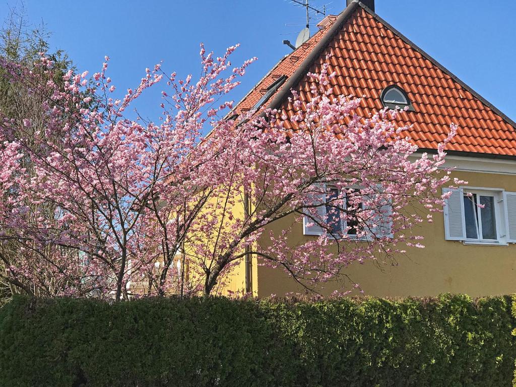 Hotel Lion Homestay Munich