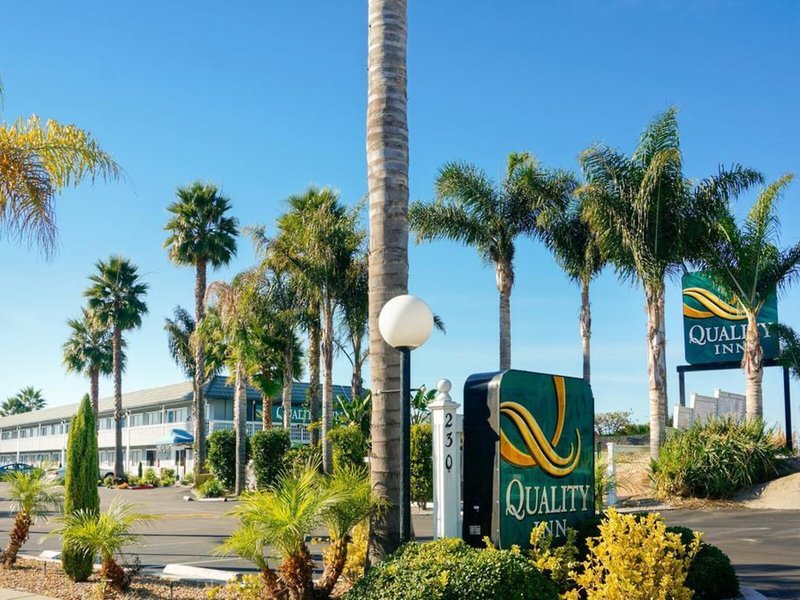 The Grove At Pismo Beach