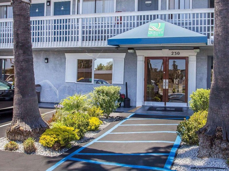 The Grove At Pismo Beach