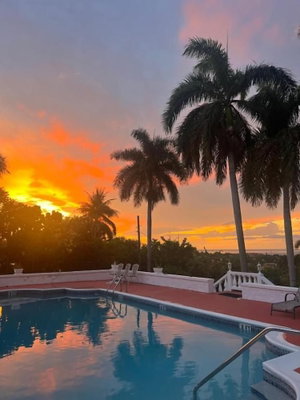 Hotel The Lodge At Peaceful Palms cazare Montego Bay