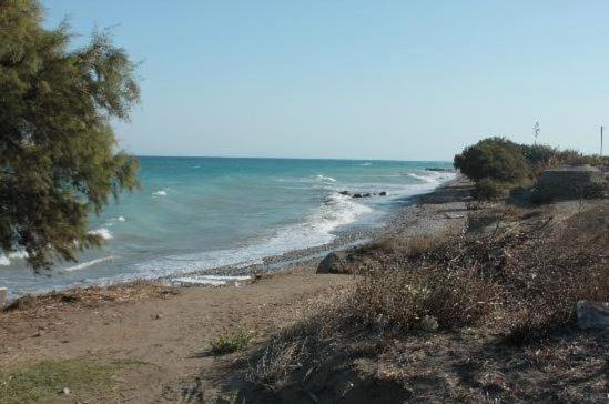 dal travel Asterias Bay Hotel
