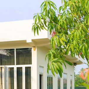 Hotel Bliss Loft Cmb Negombo cazare Negombo