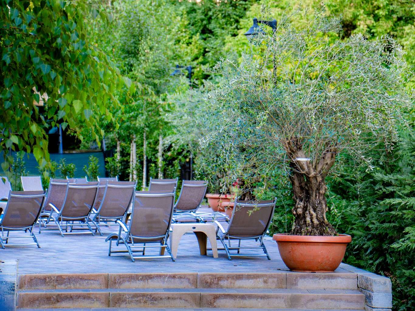 Hotel Izvoare Calimanesti Caciulata