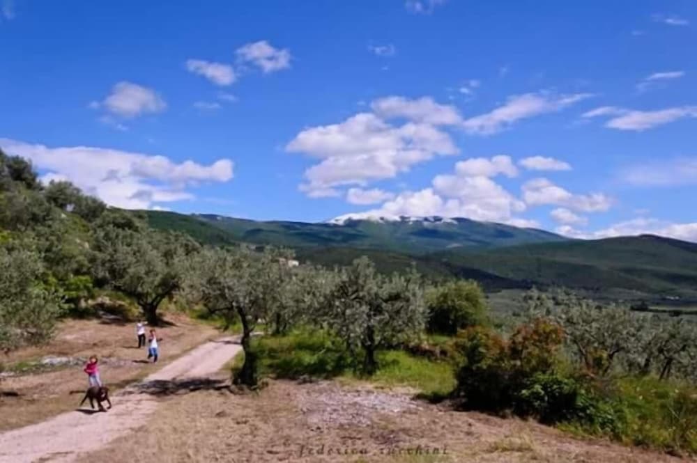 Hotel Agriturismo Monte Cologna