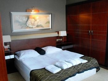Fagus Hotel Sopron