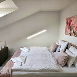 Hotel Holdvirag Hotel cazare Sarvar