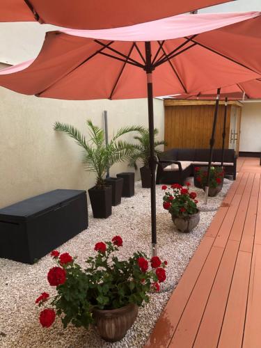 Mosoly Apartman