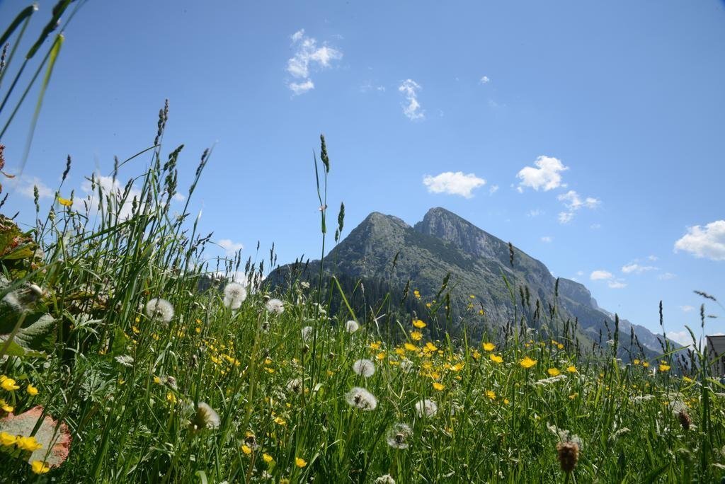 Hotel Der Alpenblick Hotel
