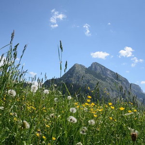 Hotel Der Alpenblick Hotel cazare Sankt Johann im Pongau