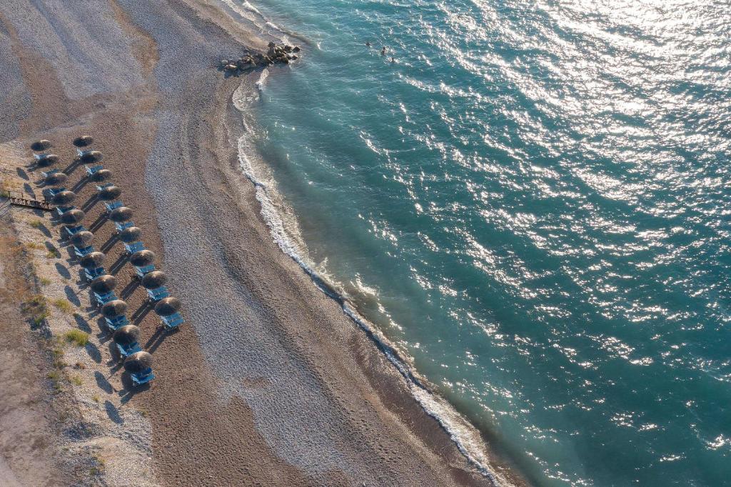 dal travel Lito Hotel