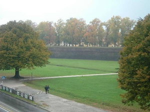 Hotel Hotel Rex cazare Lucca