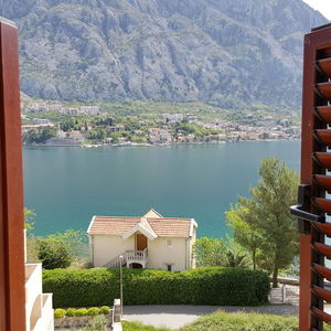 Hotel Hotel Galia cazare Kotor