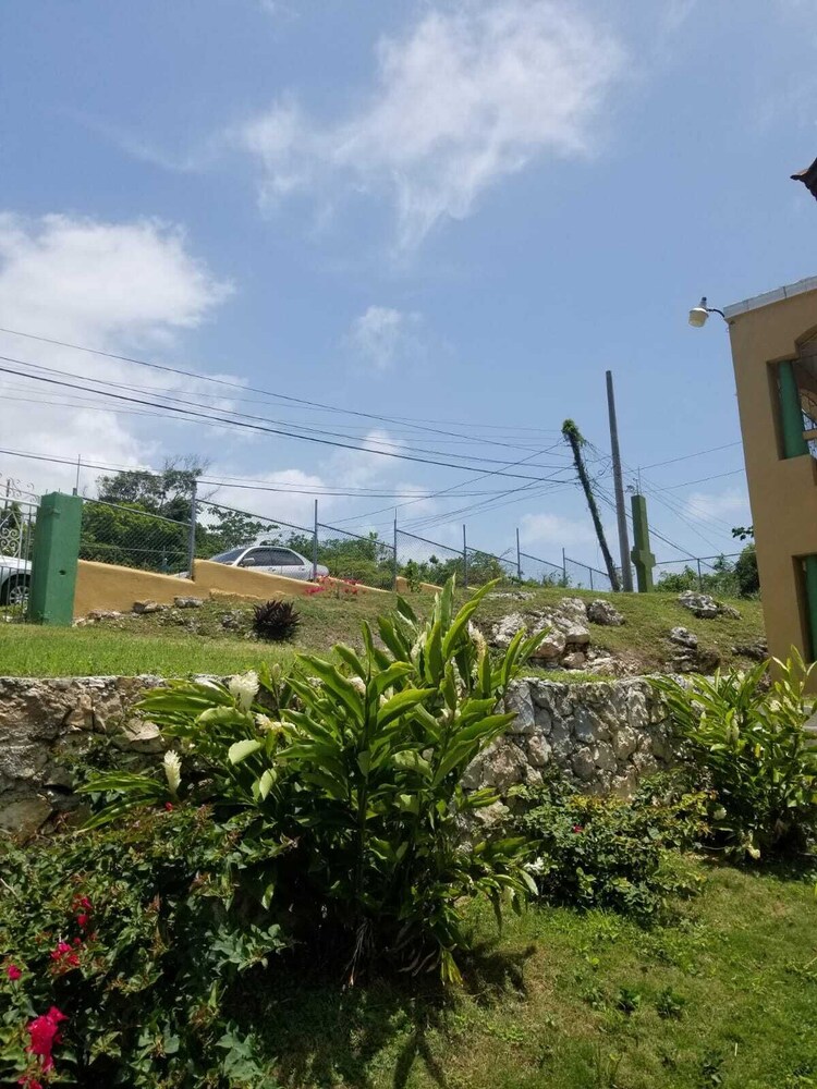Poinciana House