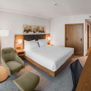 Hotel Hilton Garden Inn Tbilisi Chavchavadze cazare Tibilisi