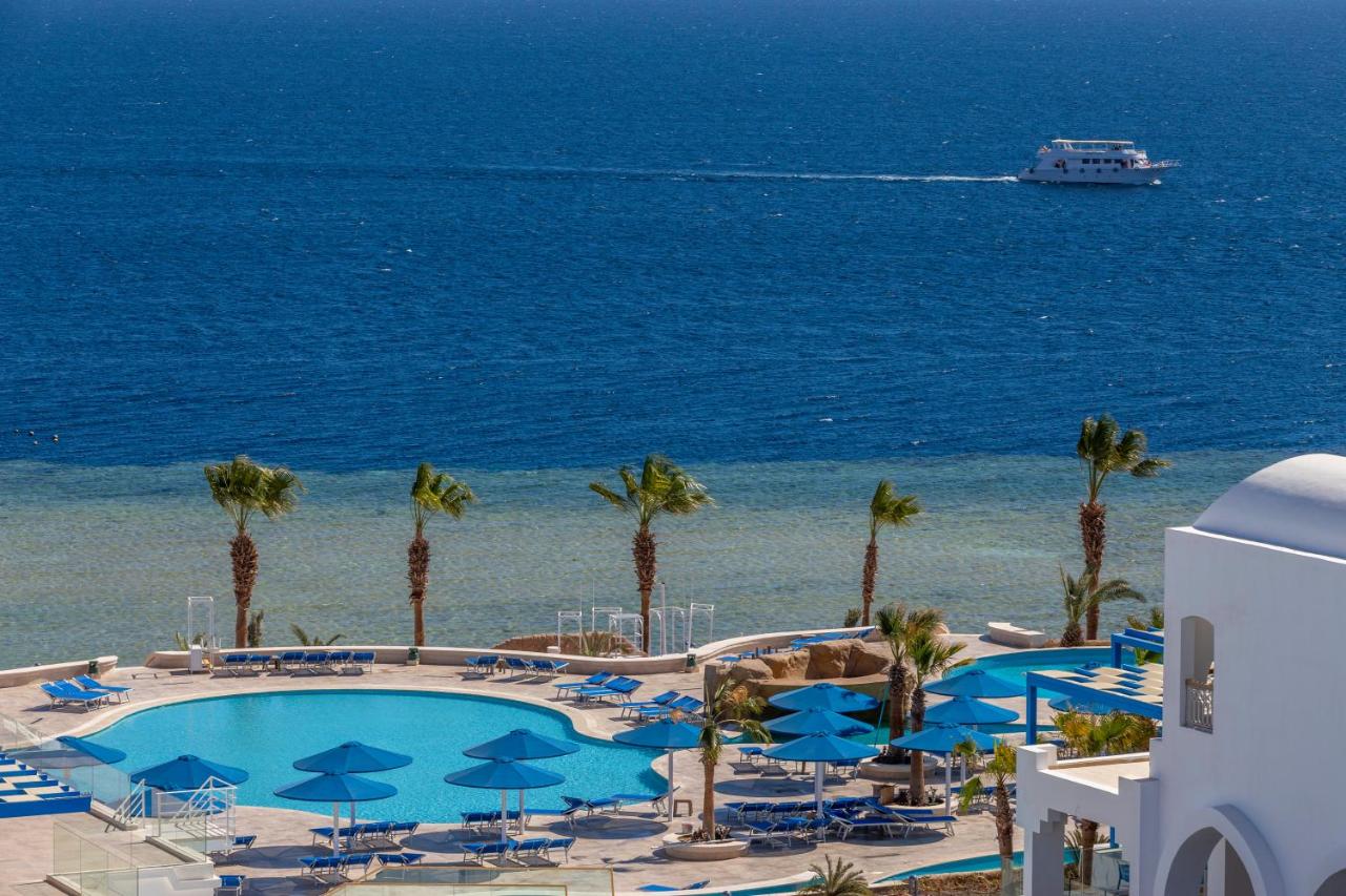 dal travel Albatros Palace
